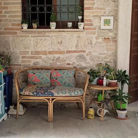 Iris * Ascoli Piceno